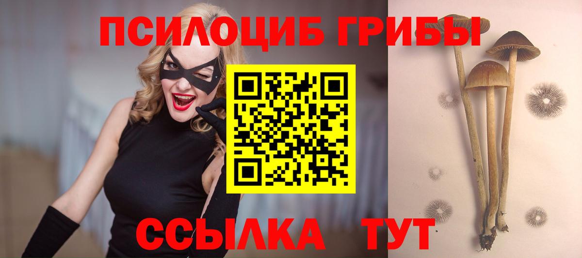 Псилоцибиновые грибы Psilocybe  Вход с VPN  Кизилюрт 
